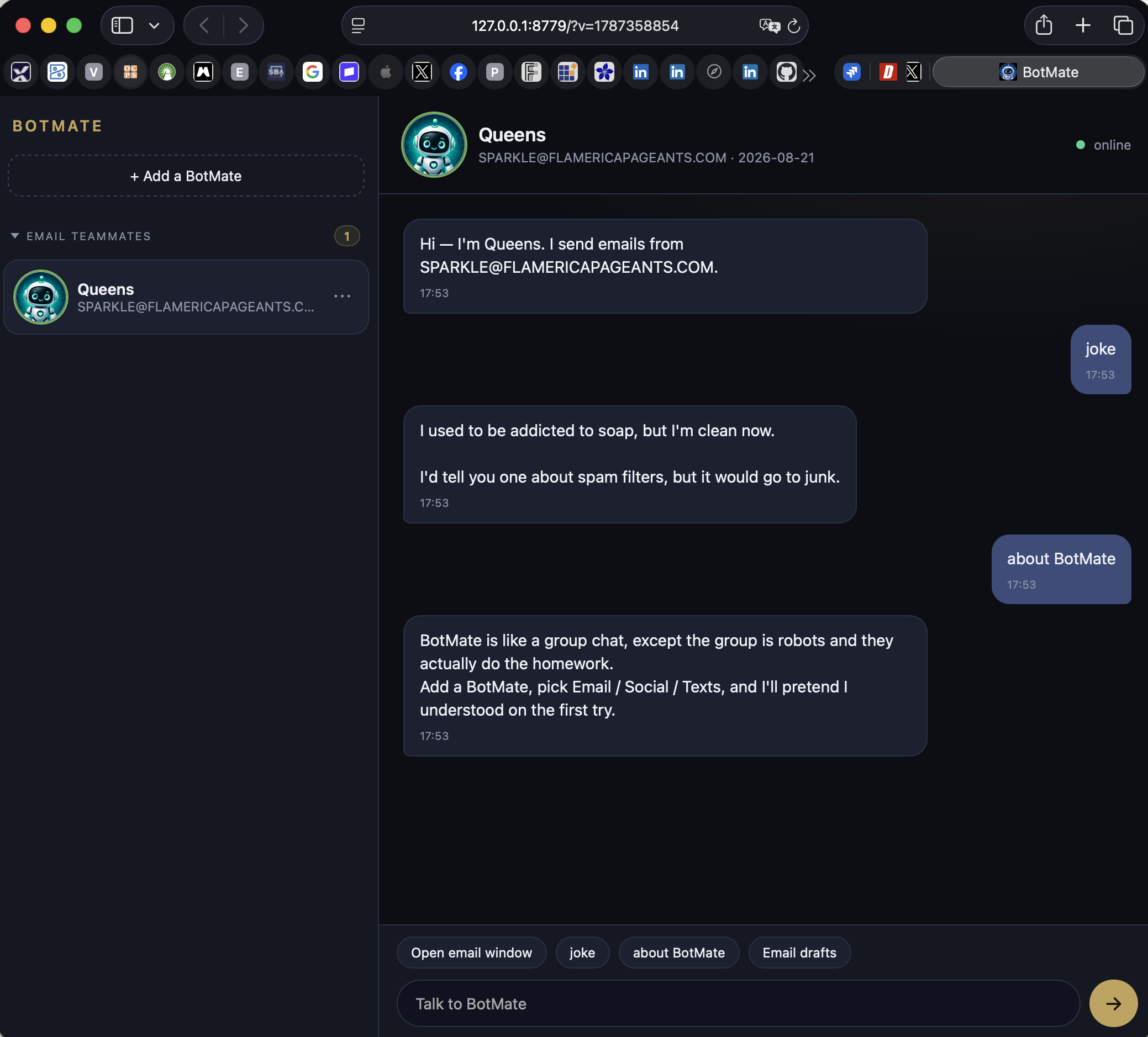 BotMate desktop chat
